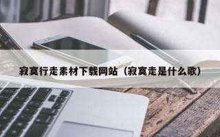 瑞安寂寞行走素材下载网站（寂寞走是什么歌）
